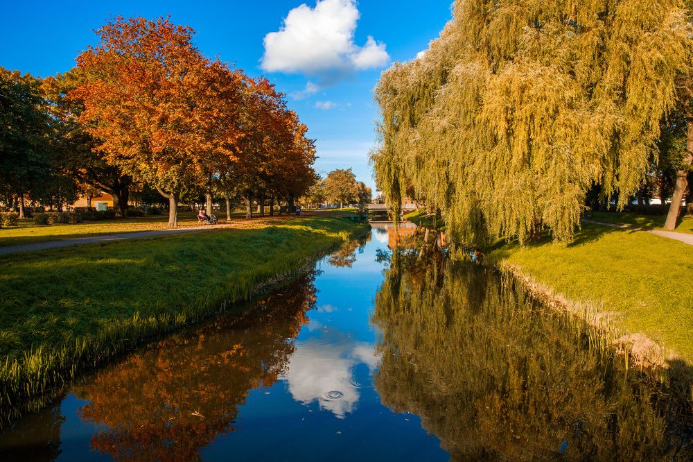 Photograph by Анна Малютина