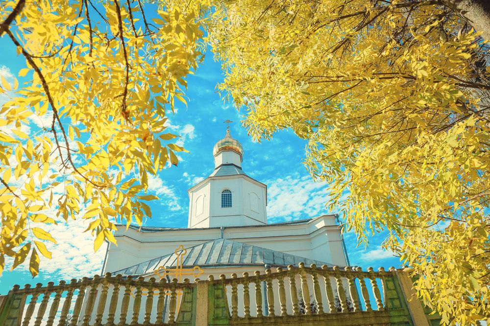 Фотография автора Игорь Ефремычев