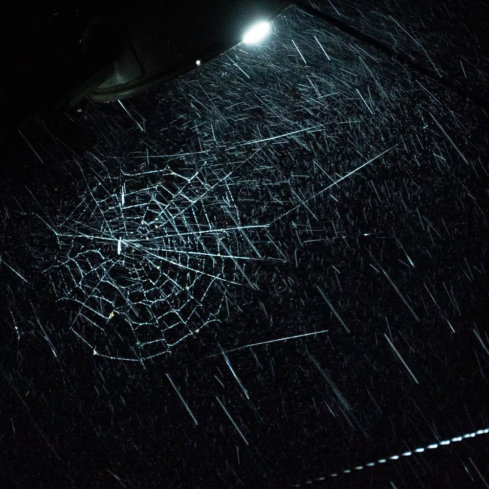 Photograph by Алена Устинович