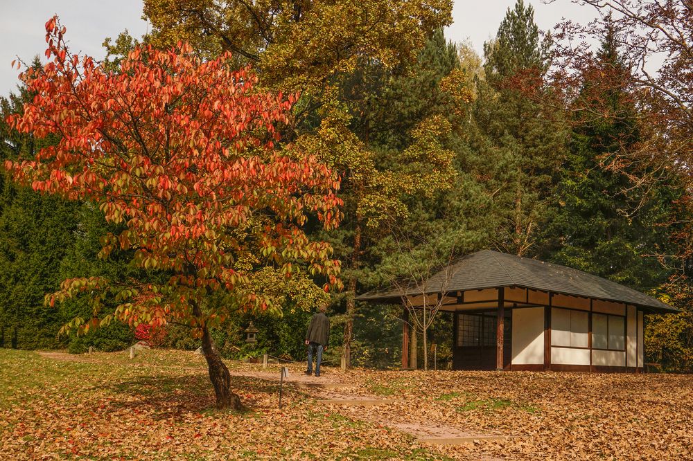 Photograph by Елена Никонова