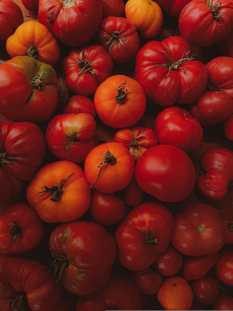 Photograph by Polina Popova