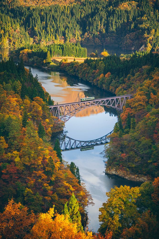 Фотография автора tran luong quyen