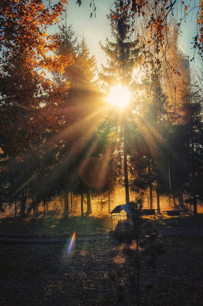 Фотография автора Максим Светличный