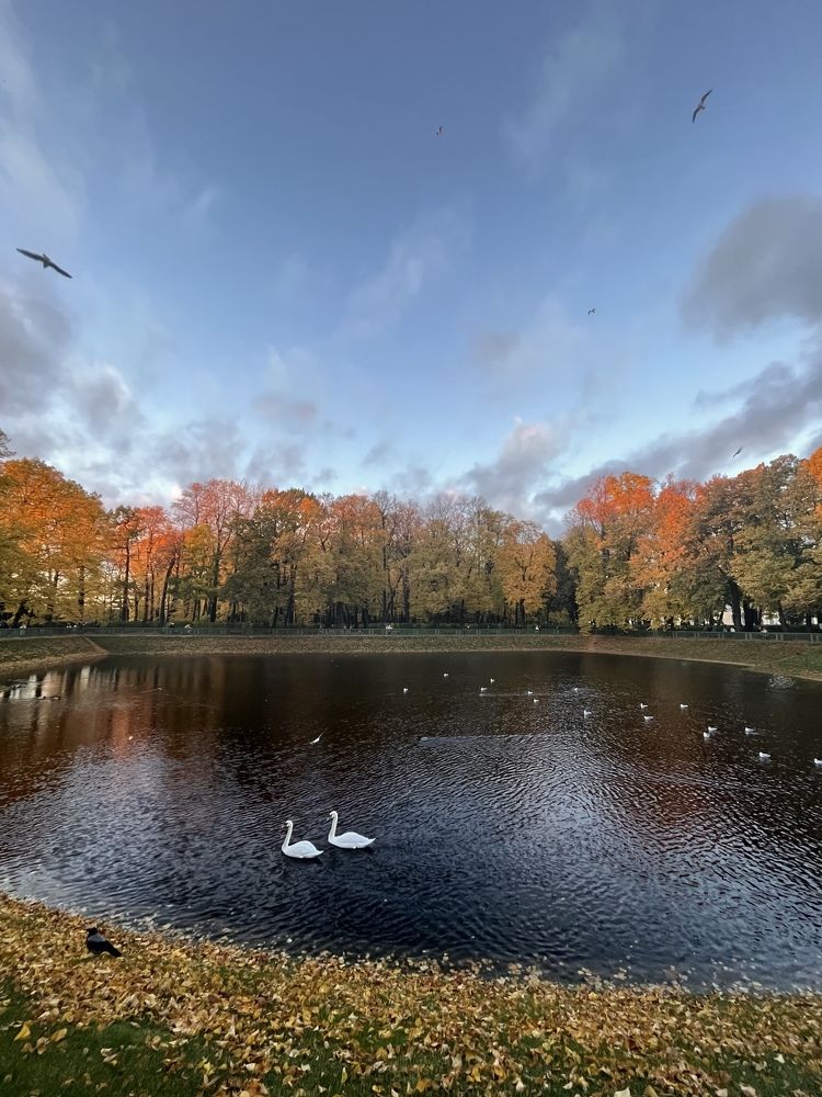 Photograph by Виктория Лавринович