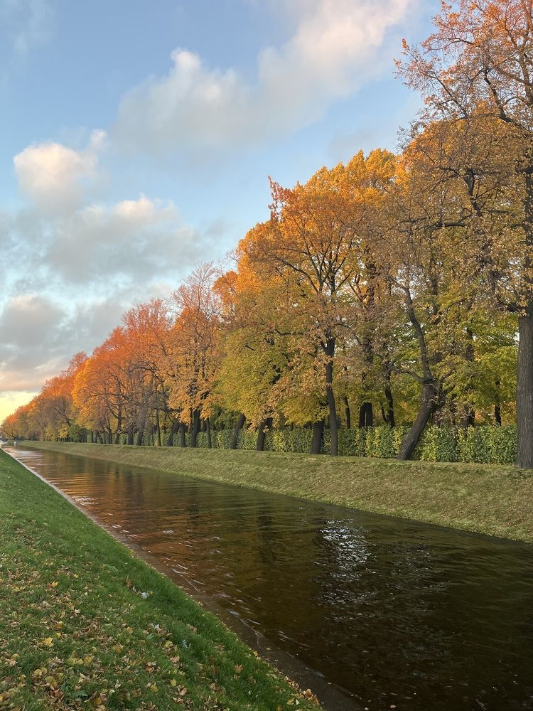 Photograph by Виктория Лавринович