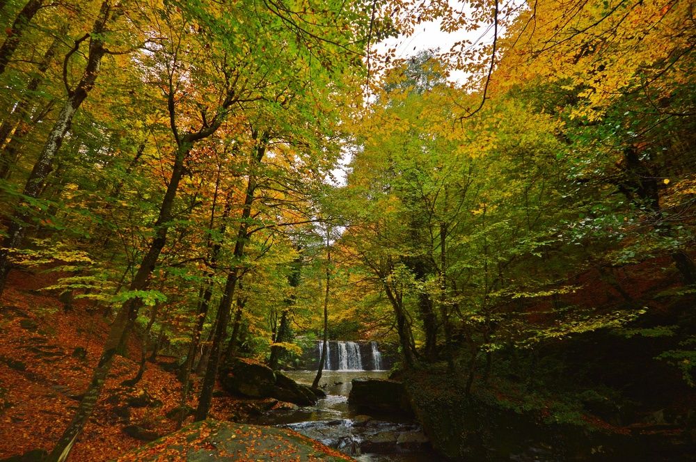 Photograph by Süleyman Ülker