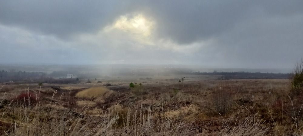 Photograph by Mari Kir