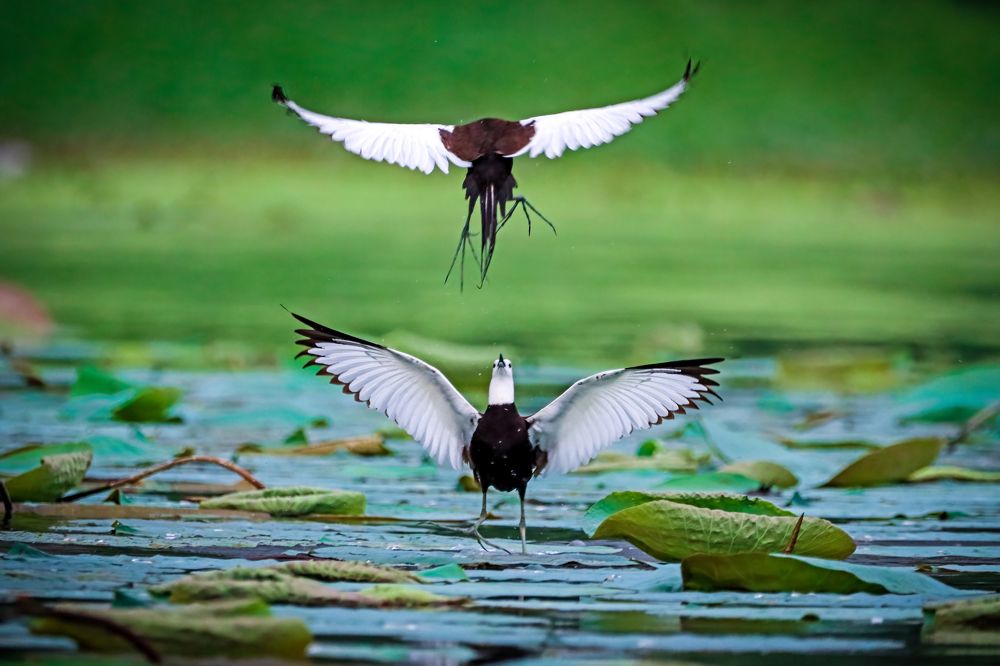 Photograph by Dhruv Shilpi