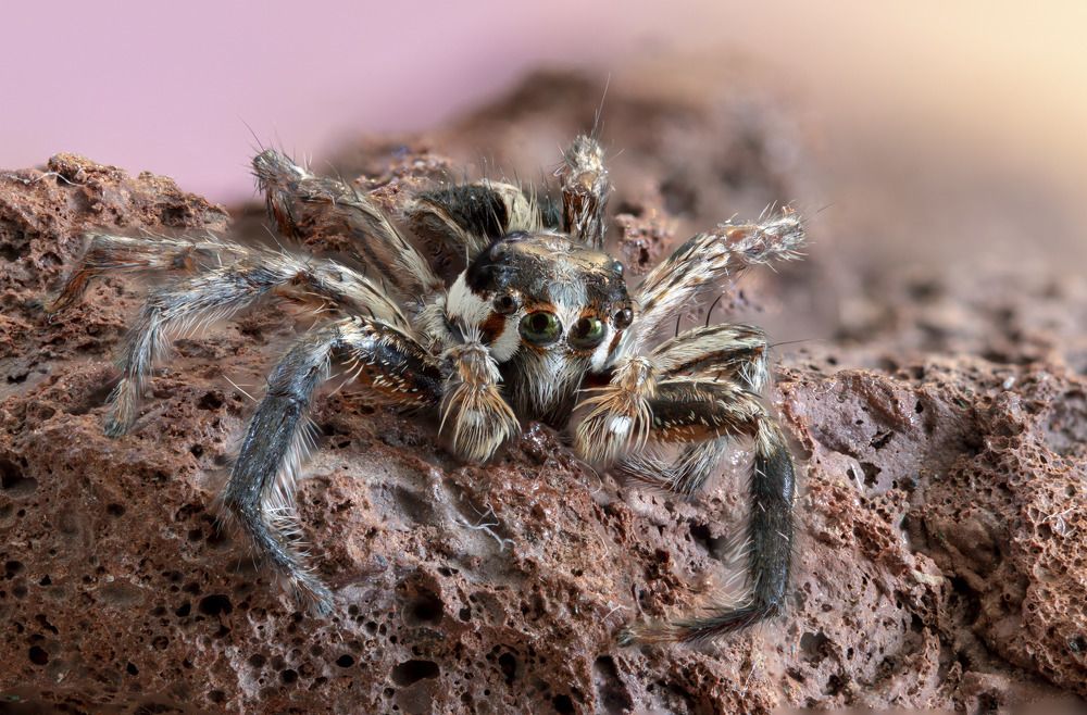 Photograph by Владимир М