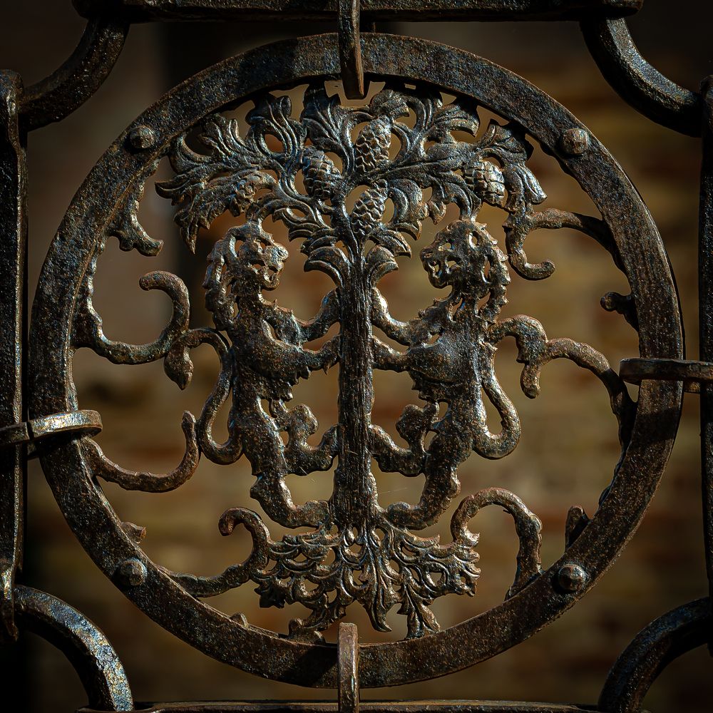 Photograph by Andrea Barlotti