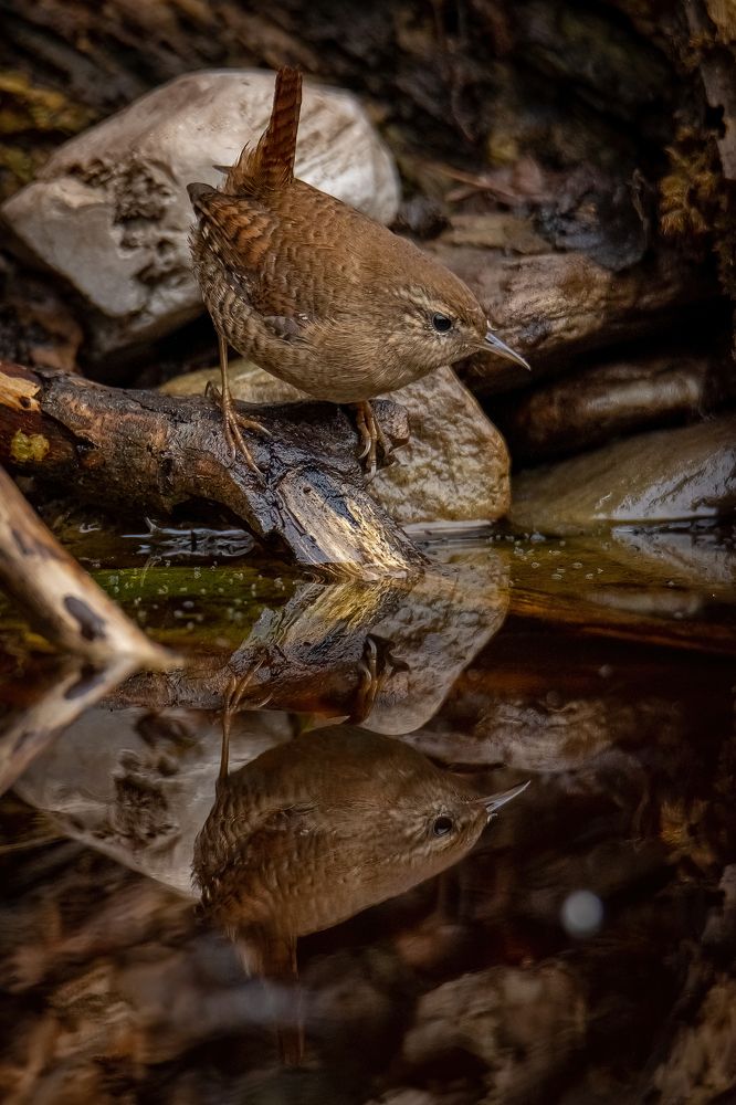 Photograph by Andrea Barlotti