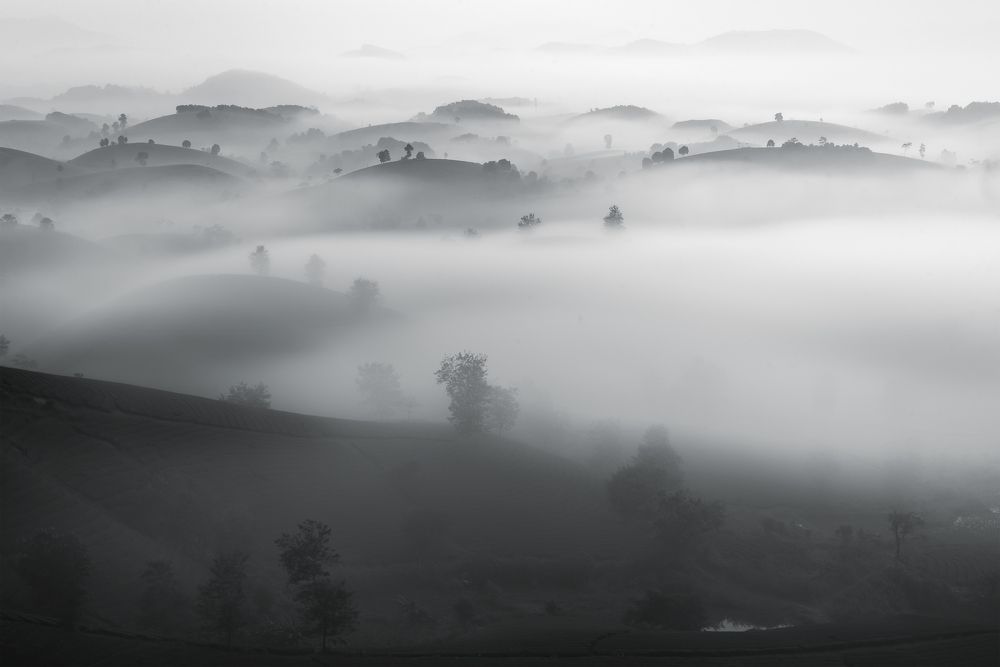 Фотография автора Bảo Nguyễn Gia