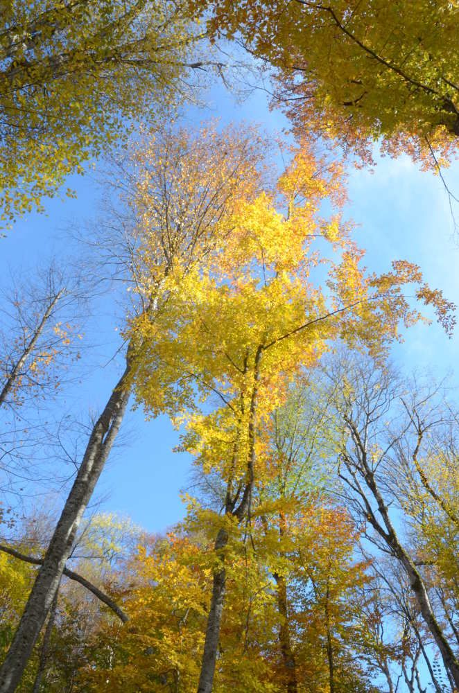 Photograph by Рената Митрова