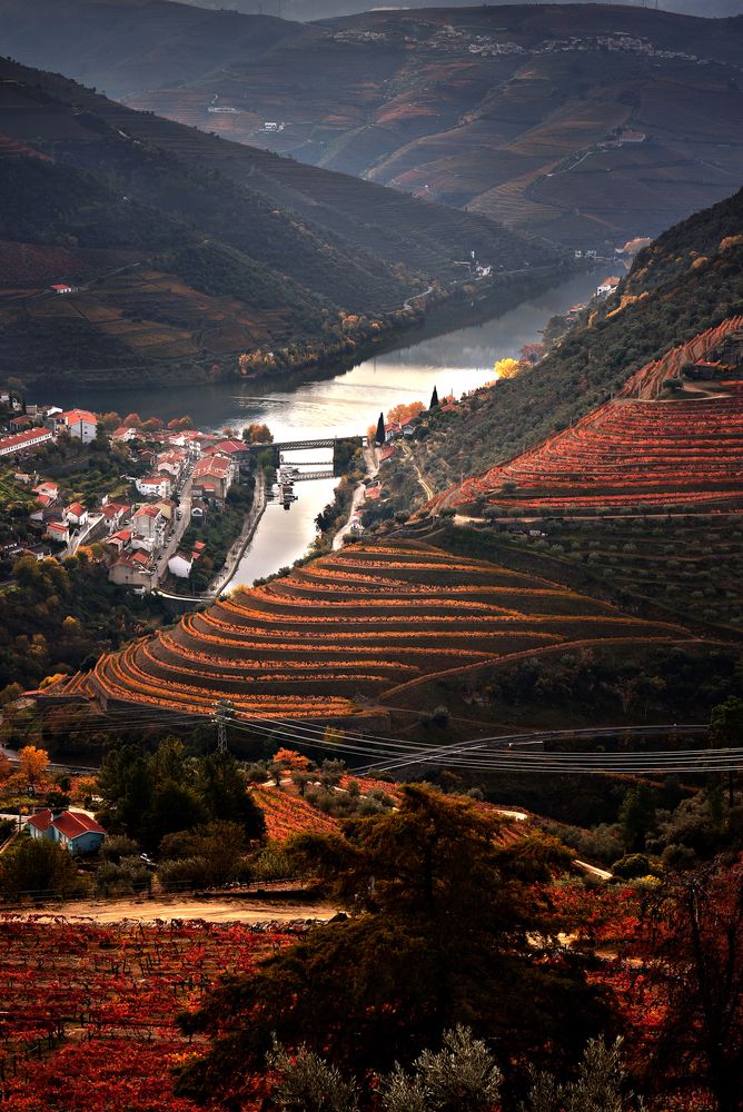 Douro Wine Region