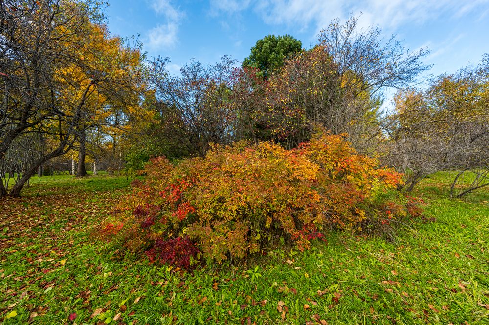 Photograph by Вараксин Николай