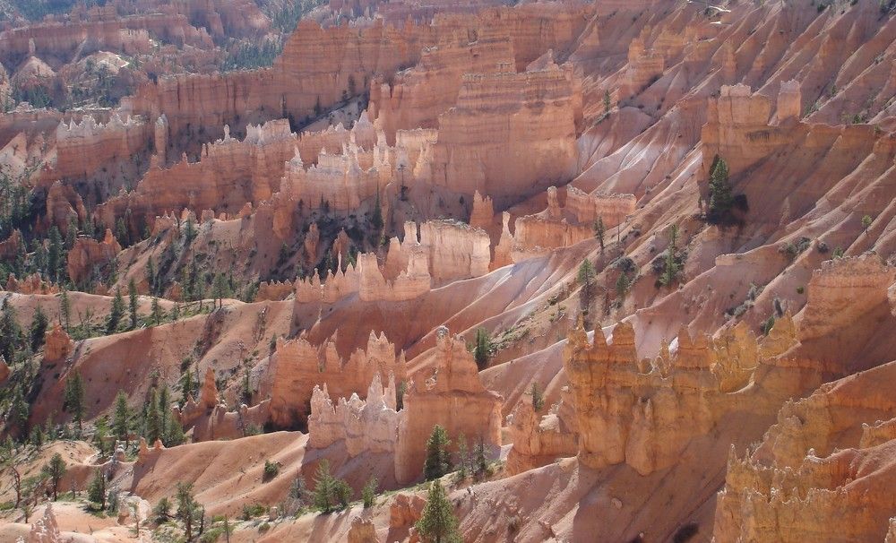 Photograph by Ирина