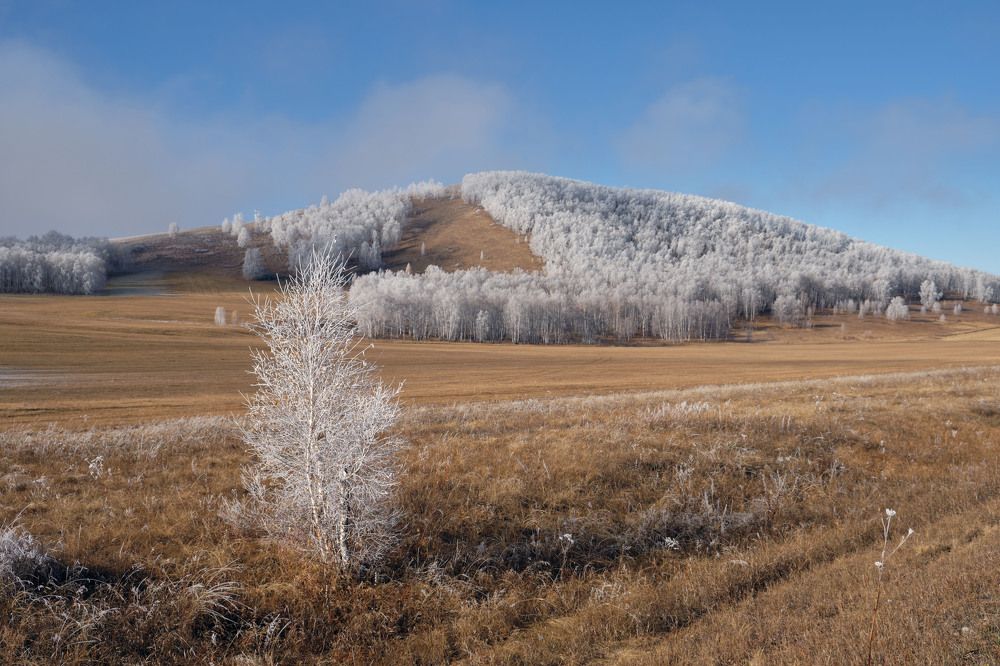 Photograph by Олег Печенегин