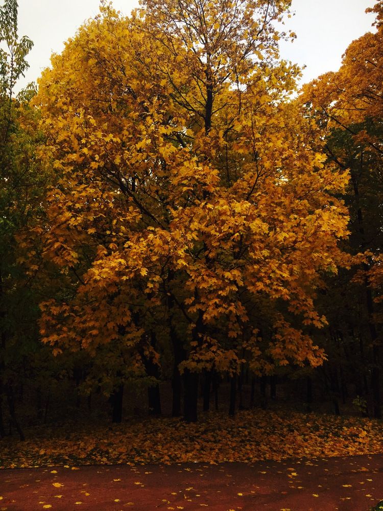 Photograph by Дмитрий Зернов