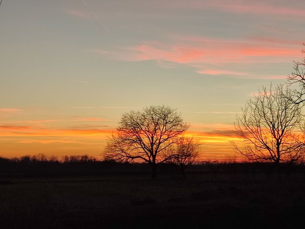 Photograph by Ljiljana Nedeljković