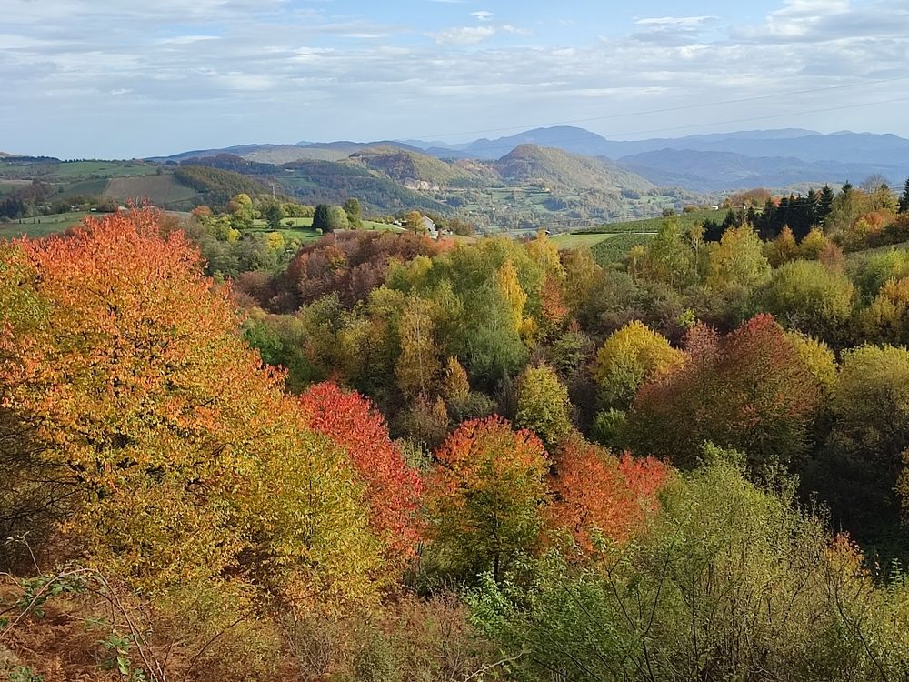 Photograph by Ljiljana Nedeljković