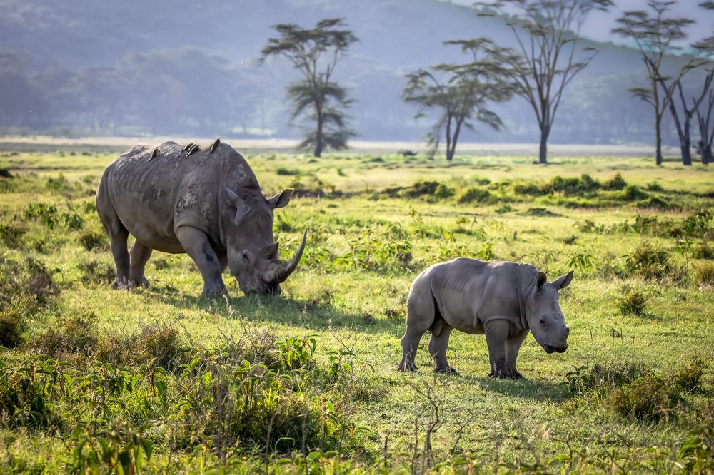 Photograph by Vita Potomova