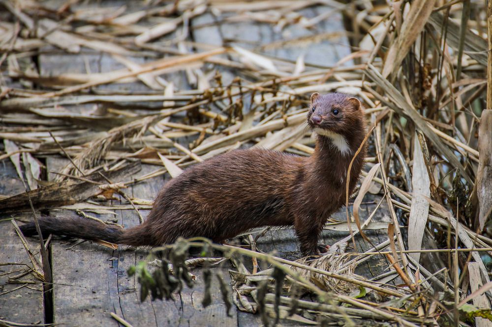 Фотография автора Юрий Фефилов
