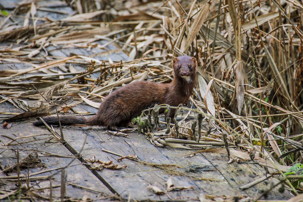 Фотография автора Юрий Фефилов