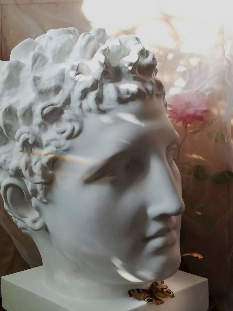 Photograph by Galina Novichkova