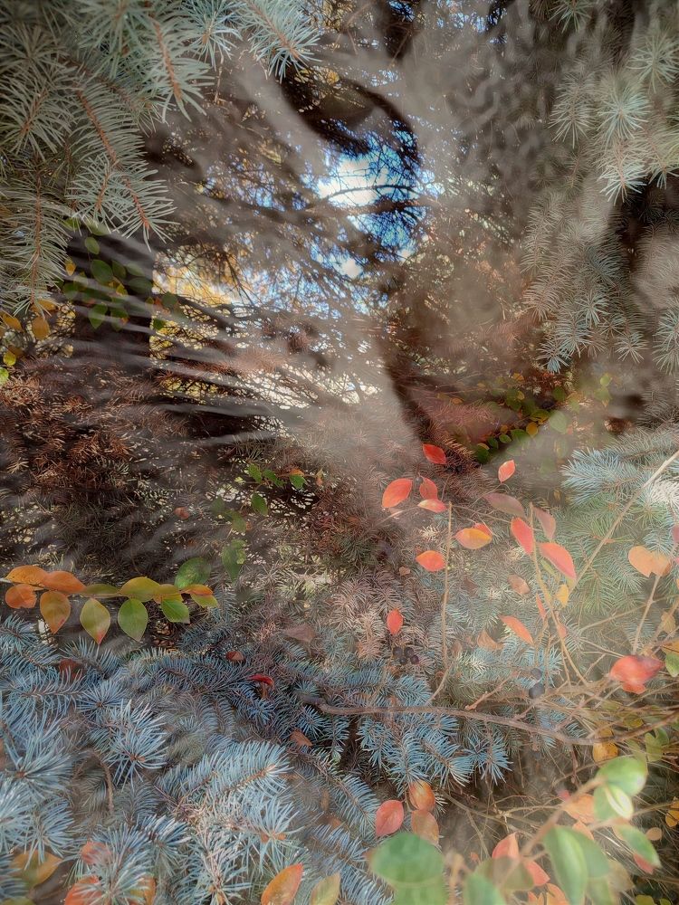 Photograph by Galina Novichkova