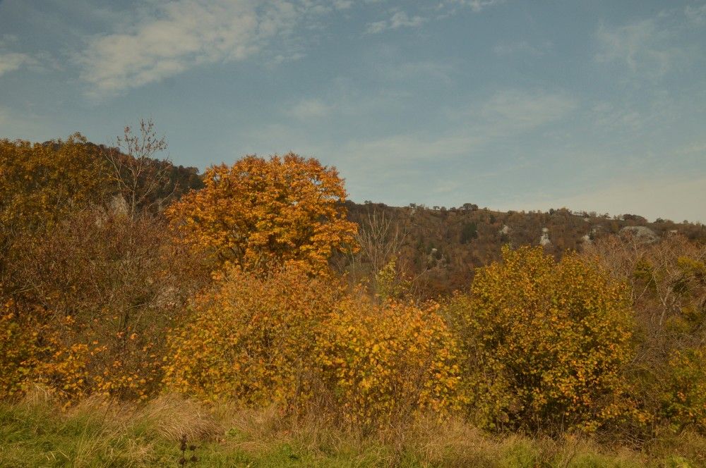 Photograph by Ольга Шевцова