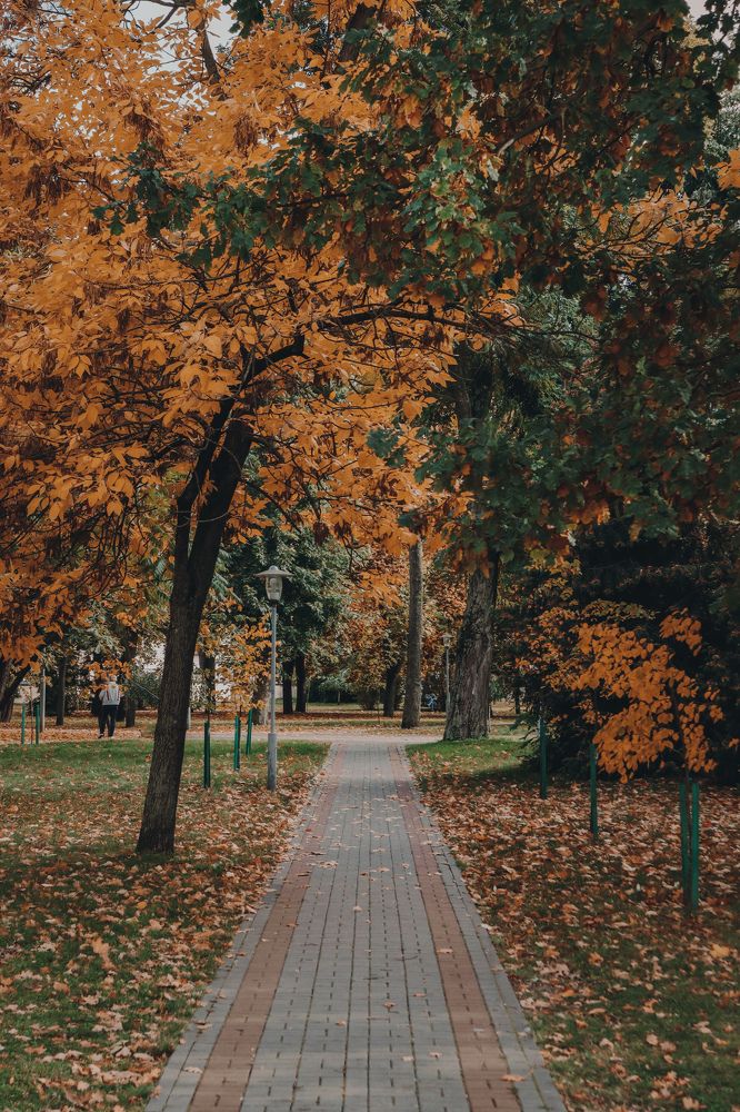 Photograph by Павел Арсенович