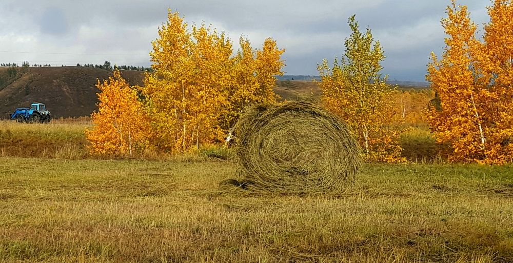 Photograph by Елена Мизина