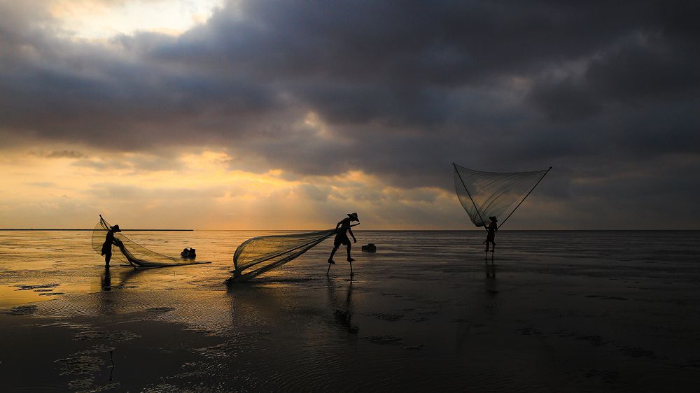 Фотография автора An Nguyen Quoc