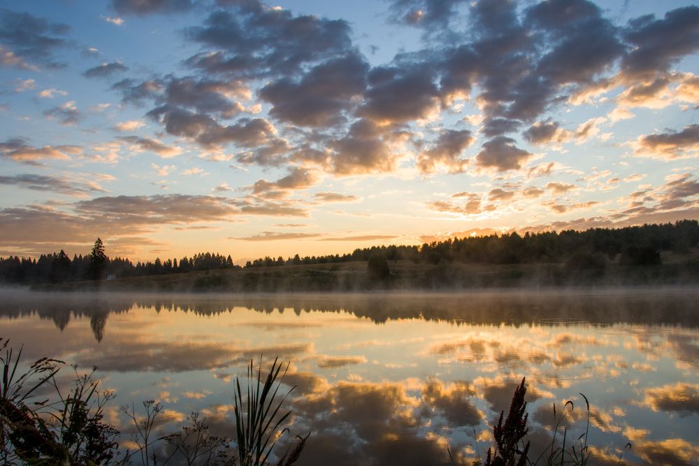 Photograph by Nikita Oshvintsev