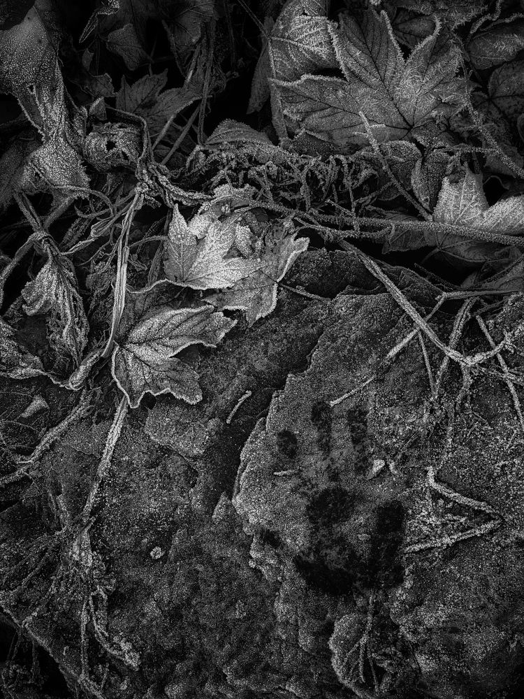 Photograph by Андрей Казаков