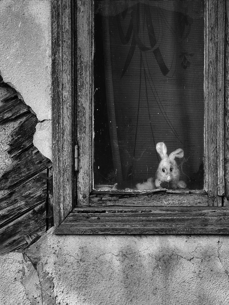 Photograph by Андрей Казаков