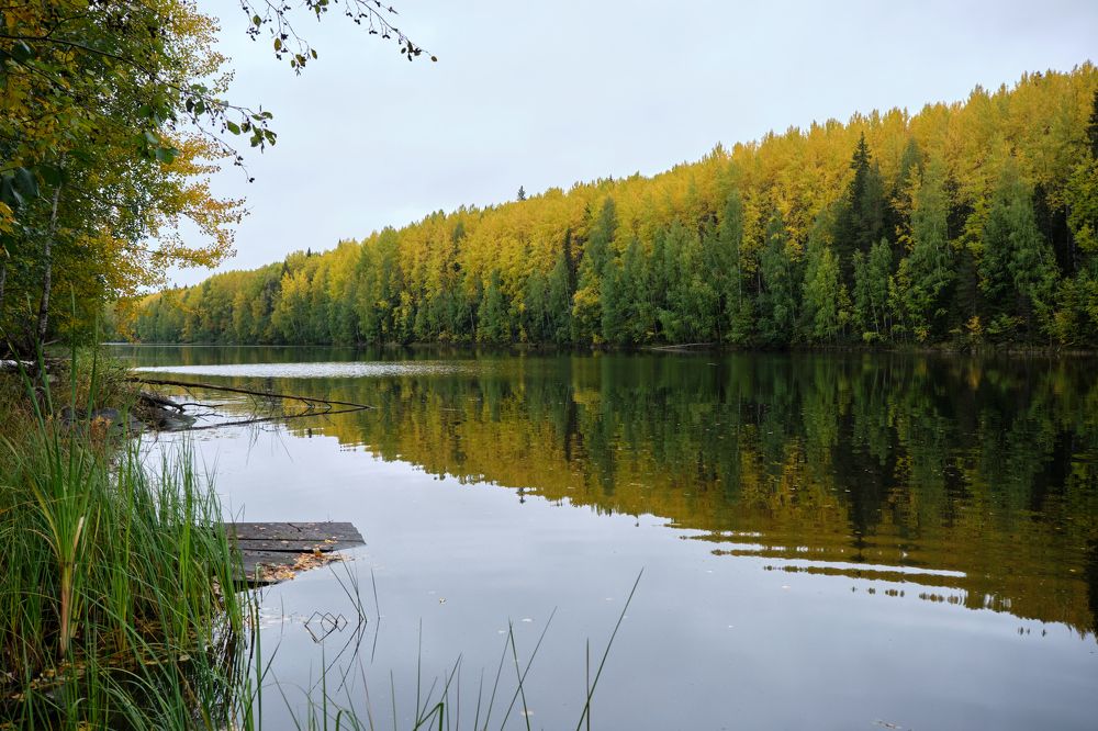 Отражение осени в реке Суна