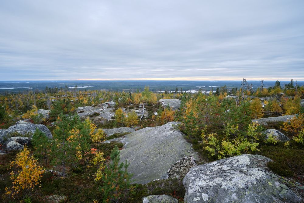 Панорама Воттоваары