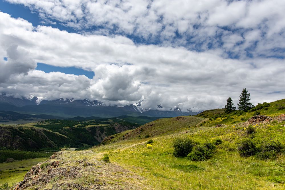 Курайские степи.