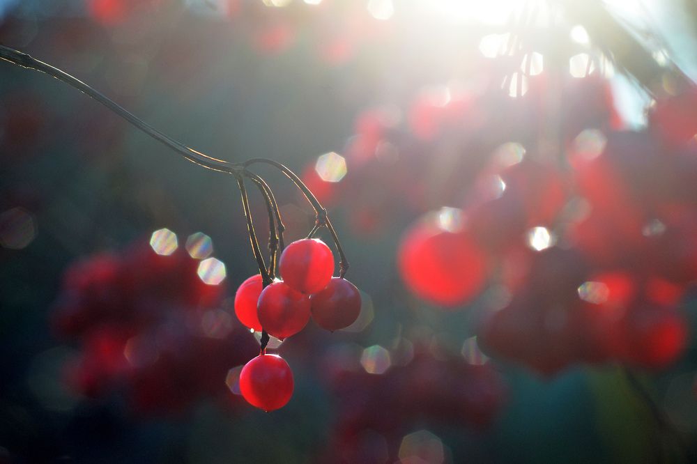 Photograph by Николай Кувшинов