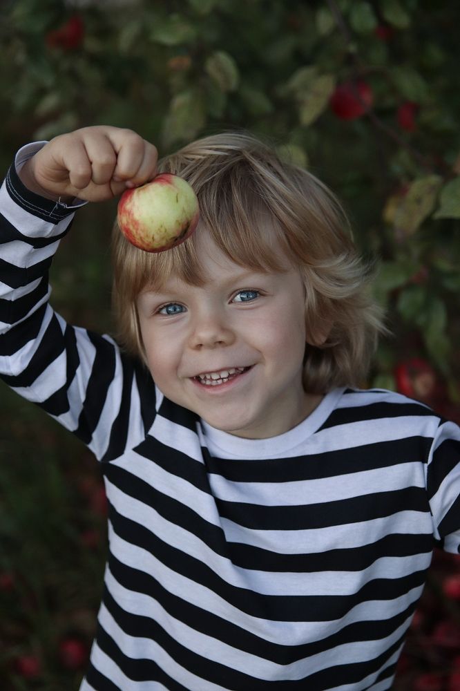 Фотография автора Наталья Боярина