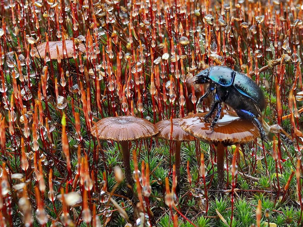 Тоскливая пора