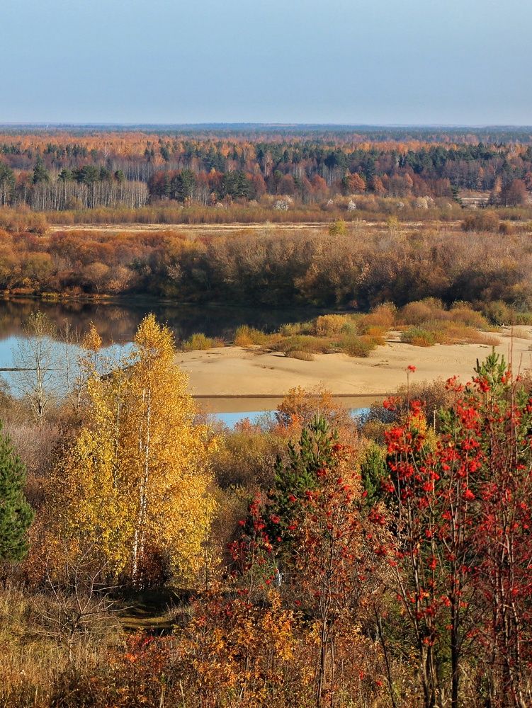 Фотография автора Тамара Караваева