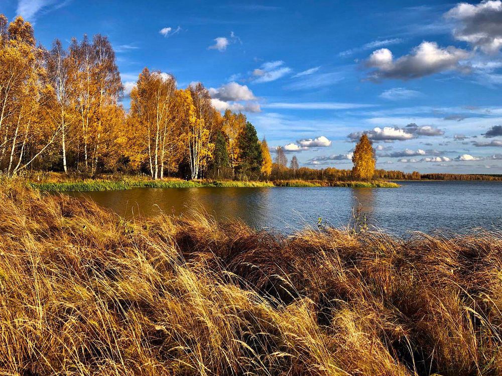 Photograph by Шестакова Наталья