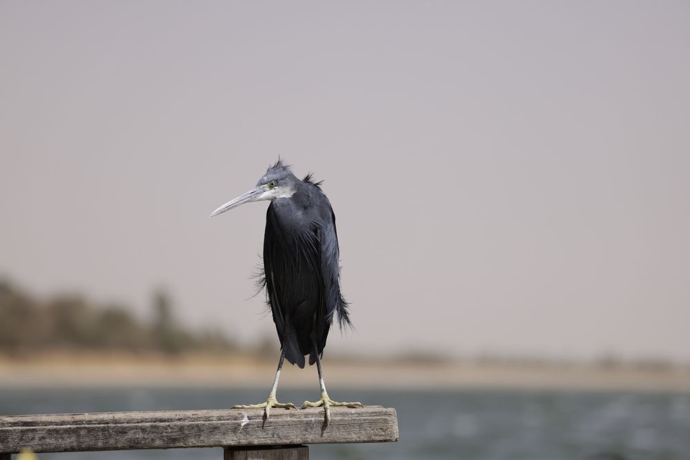 Photograph by Tatiana KURAKOVA