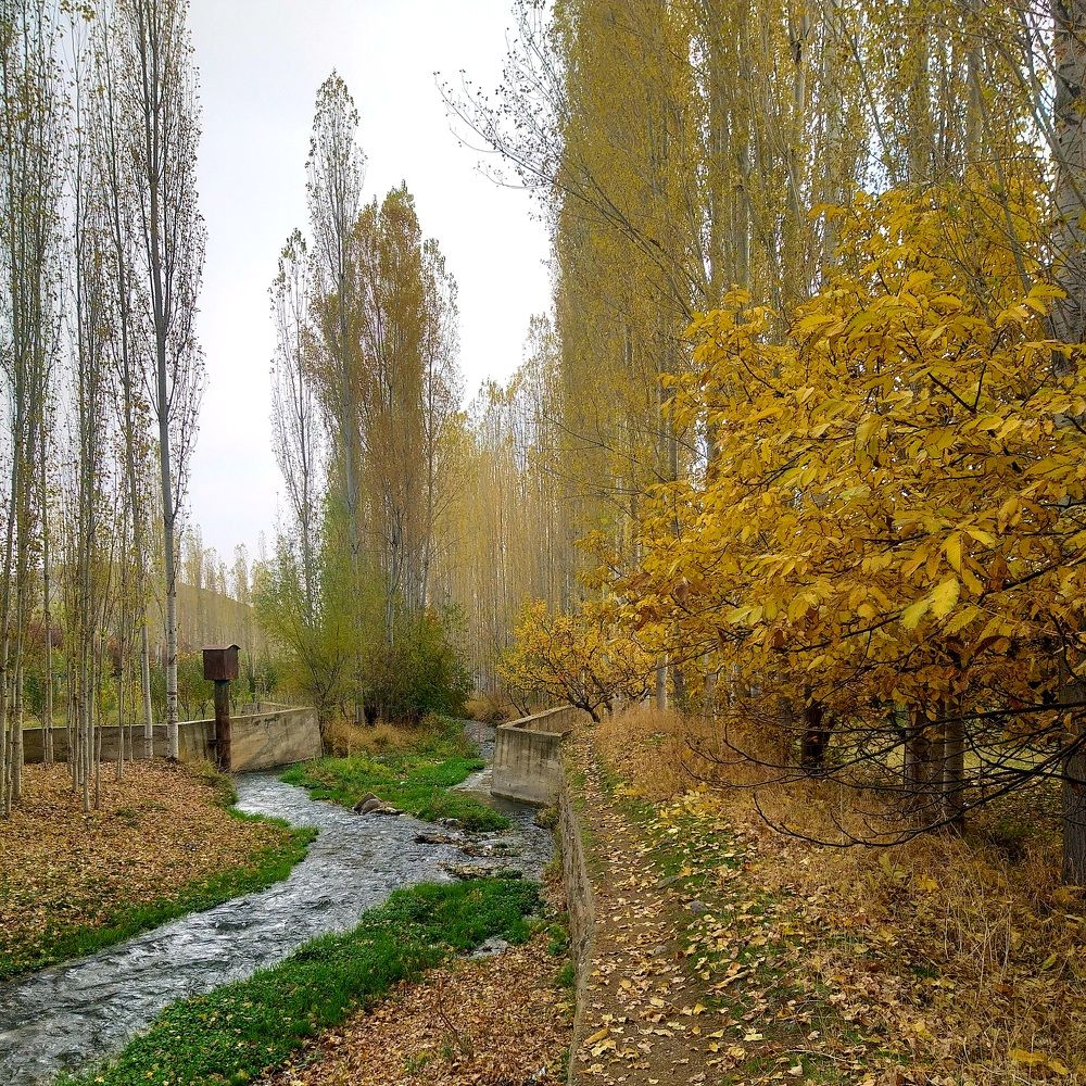 Photograph by masoud baghbani