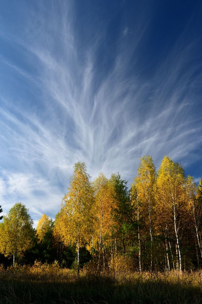 Photograph by Александр Переволоцкий