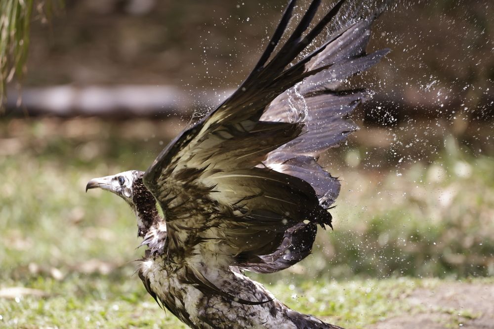 Photograph by Tatiana KURAKOVA