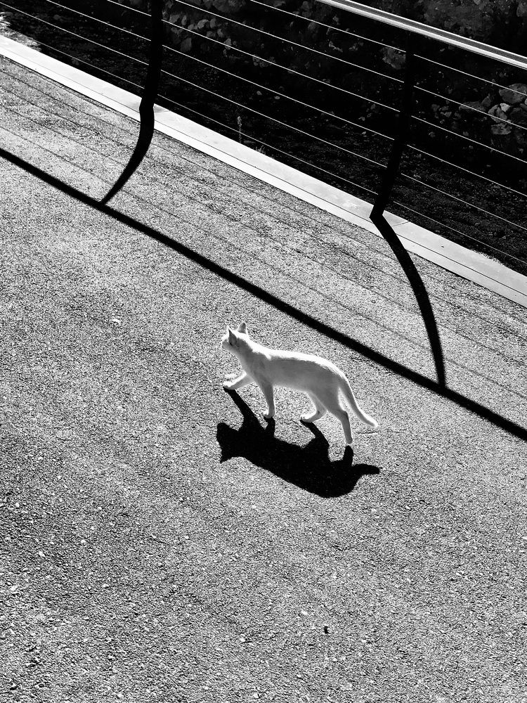 Photograph by Марина Танаева