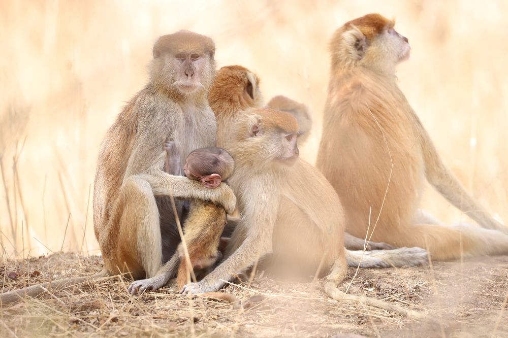 Photograph by Tatiana KURAKOVA